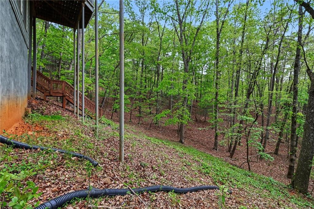 53 Pinto Place Jasper, GA 30143 - Photo 52 of 63