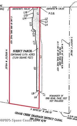 a view of a tree in the middle of a yard