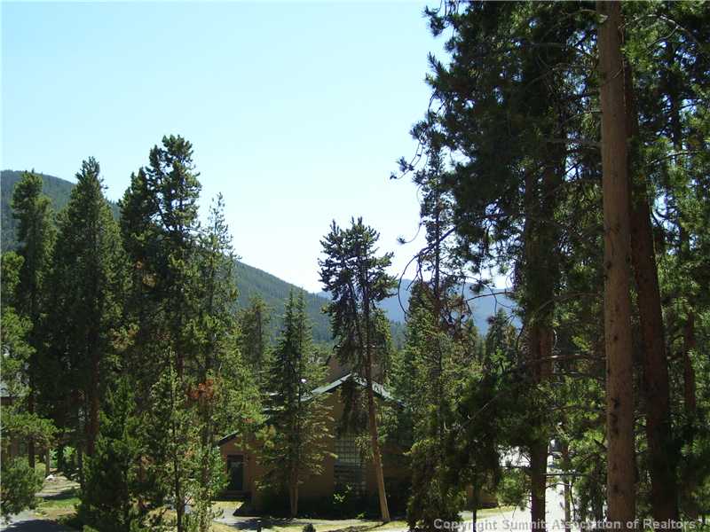 180 Tennis Club Road, Unit 1657 Keystone, CO 80435 - Photo 16 of 18 View.
