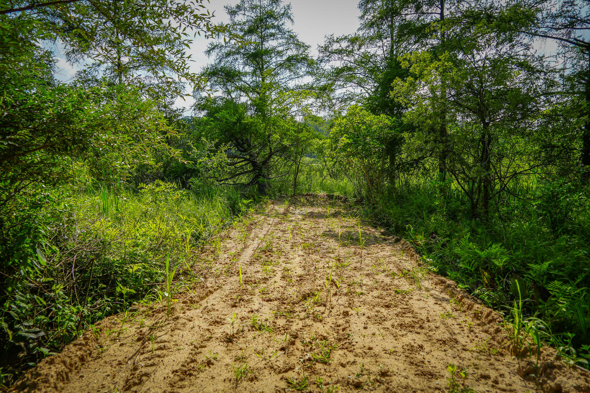5100 Long Lake Road Reading, MI 49274 - Photo 59 of 63 DSC00715