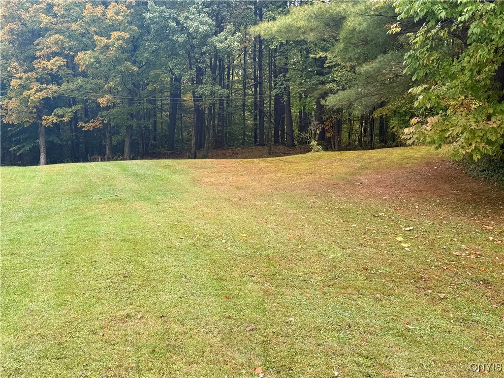 415 North Hillsboro Road Camden, NY 13316 - Photo 38 of 47