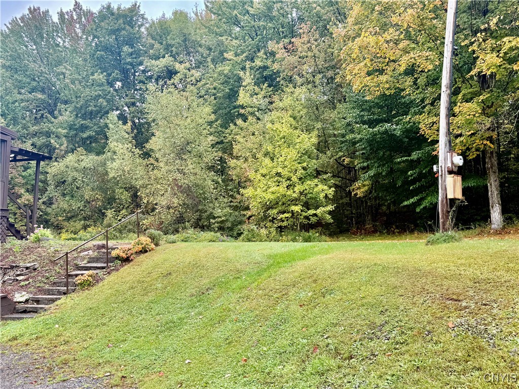 415 North Hillsboro Road Camden, NY 13316 - Photo 44 of 47