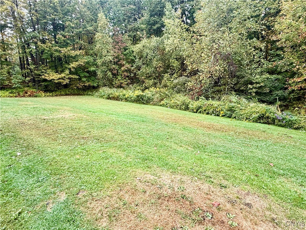 415 North Hillsboro Road Camden, NY 13316 - Photo 45 of 47