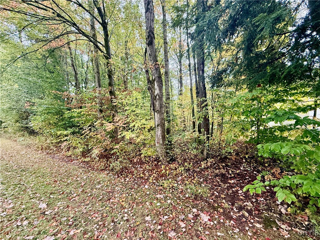 415 North Hillsboro Road Camden, NY 13316 - Photo 46 of 47