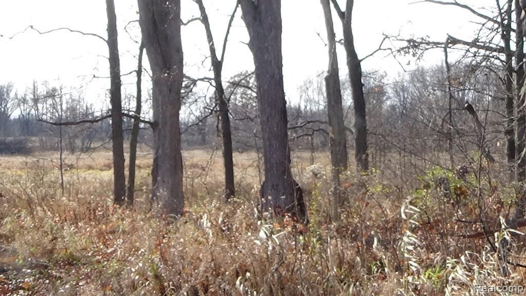 20-acres Meadowlawn Road Fowlerville, MI 48836 - Photo 3 of 9