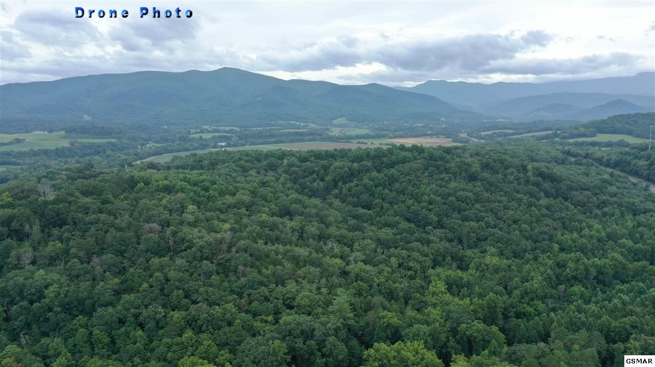 1333 Golf Course Road Newport, TN 37821 - Photo 11 of 23 Gallery Image 11