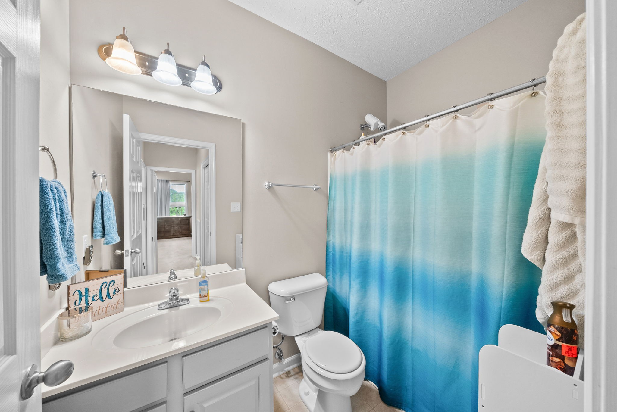 3737 Meadow Ridge Lane Clarksville, TN 37040 - Photo 22 of 32 a bathroom with a sink a toilet a mirror and shower curtain