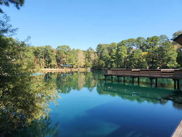 $239,500 | 230 Congaree River Drive, Summerville, SC 29485