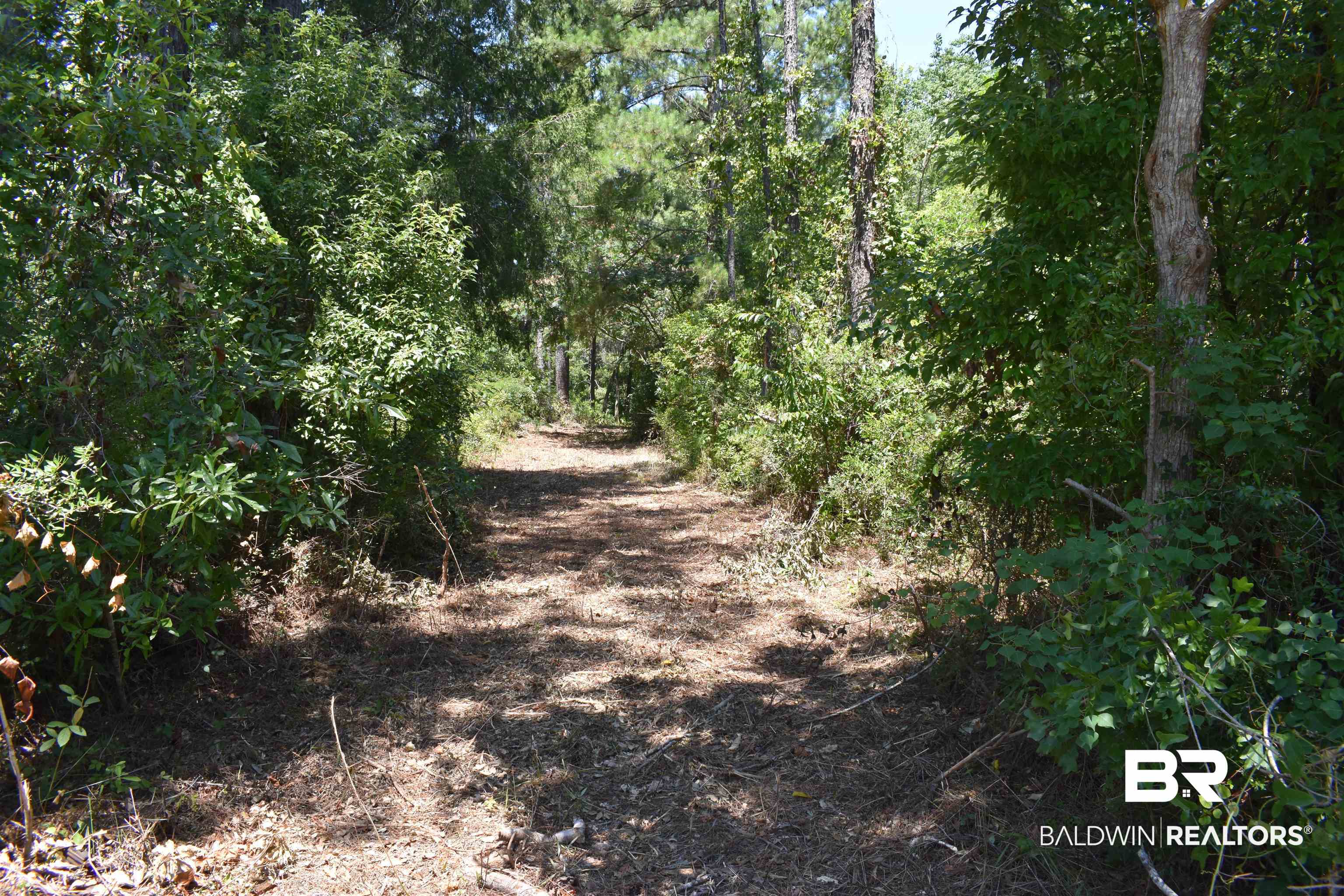 17655 River Road Summerdale, AL 36580 - Photo 7 of 17