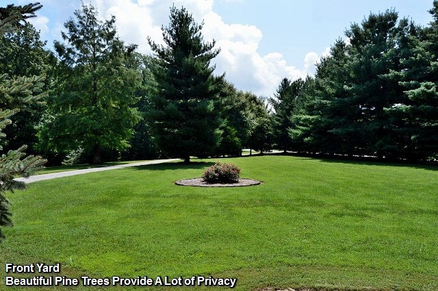 3385 Hardscrabble Road Spencer, IN 47460 - Photo 14 of 34