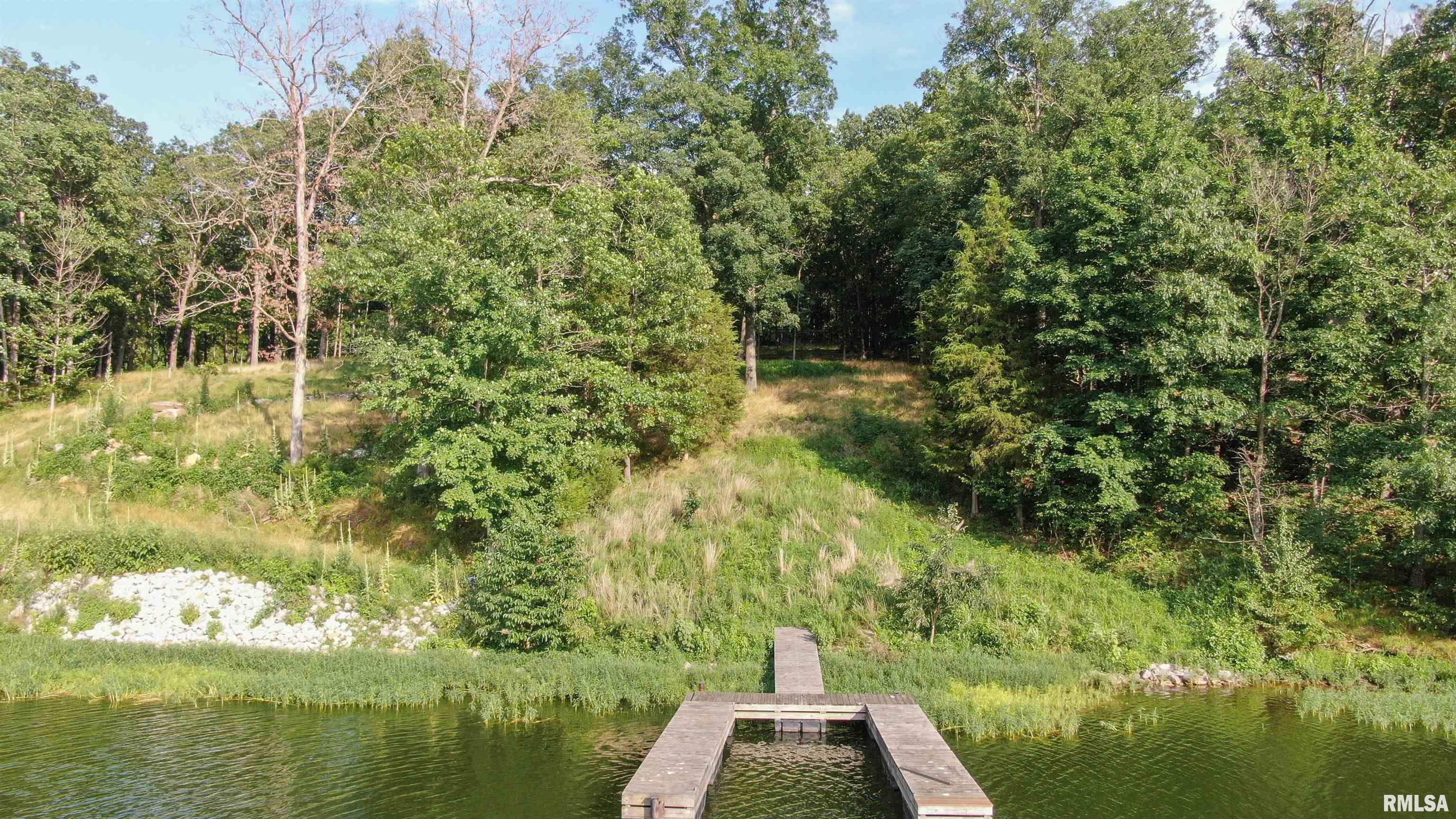 Lot 185 Parrish Ridge Lane Goreville, IL 62939 - Photo 3 of 7
