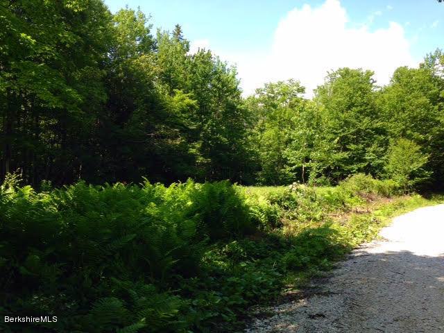 Bliss Road North Adams, MA 01247 - Photo 14 of 14 frontage