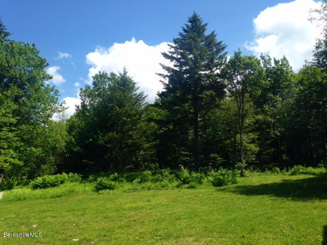 Bliss Road North Adams, MA 01247 - Photo 8 of 14 cleared land