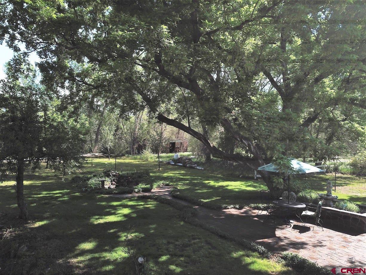 21007 Marion Road Eckert, CO 81418 - Photo 25 of 35 a yard with lake view and trees
