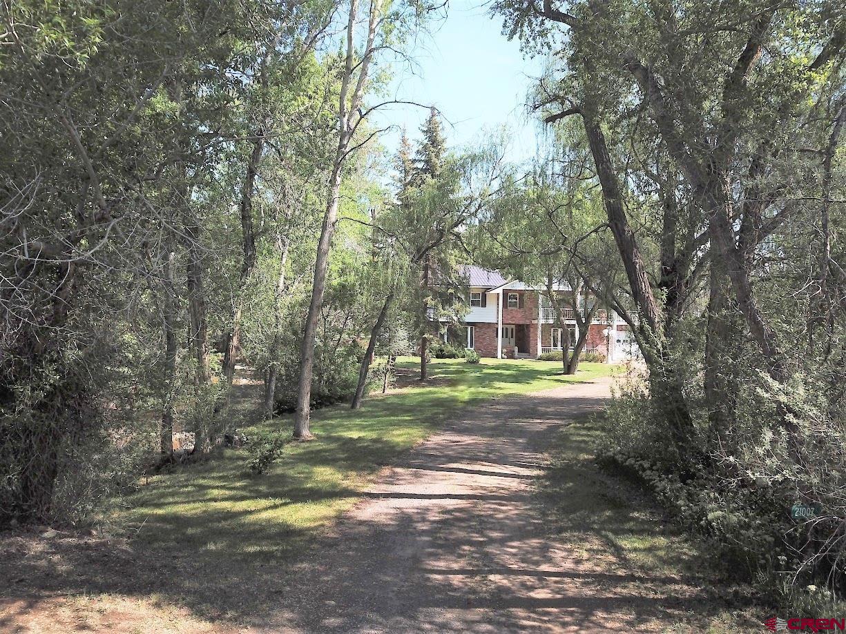 21007 Marion Road Eckert, CO 81418 - Photo 31 of 35 a view of a house with yard and tree s