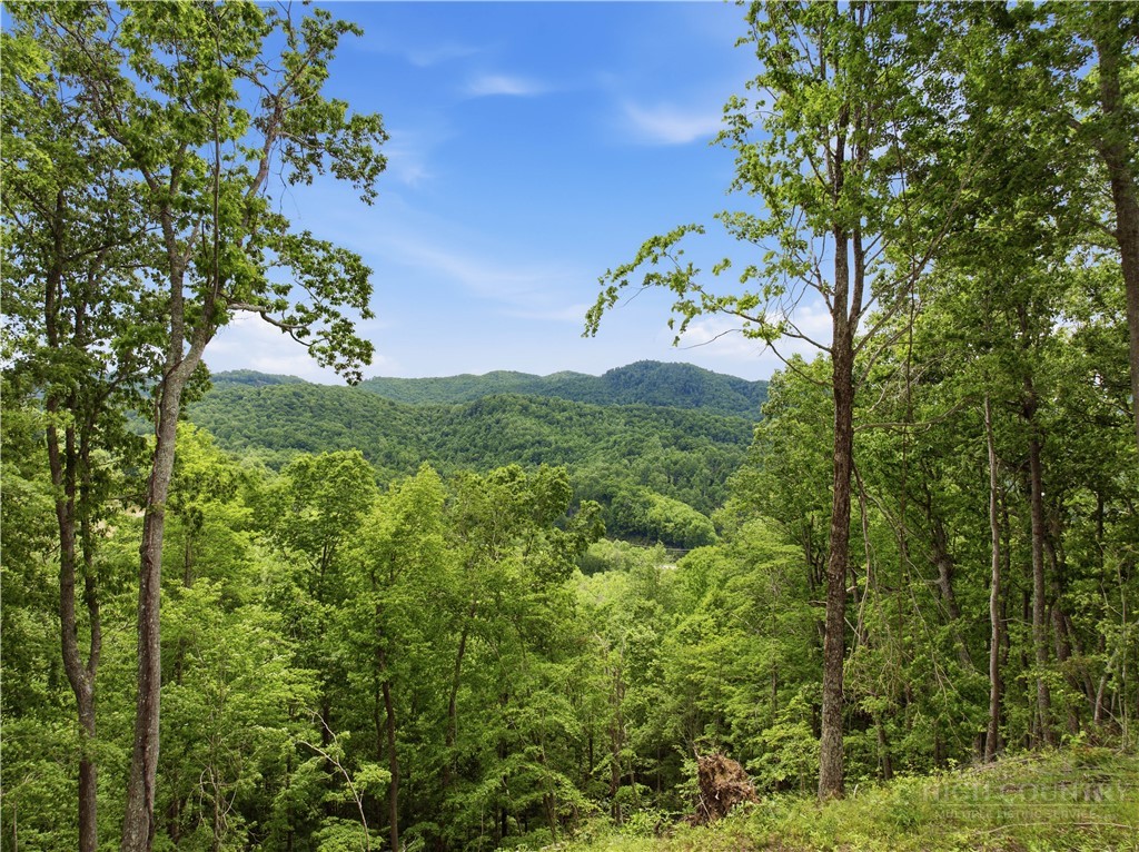Lot 191 Raspberry Lane Elk Park, NC 28622 - Photo 1 of 12