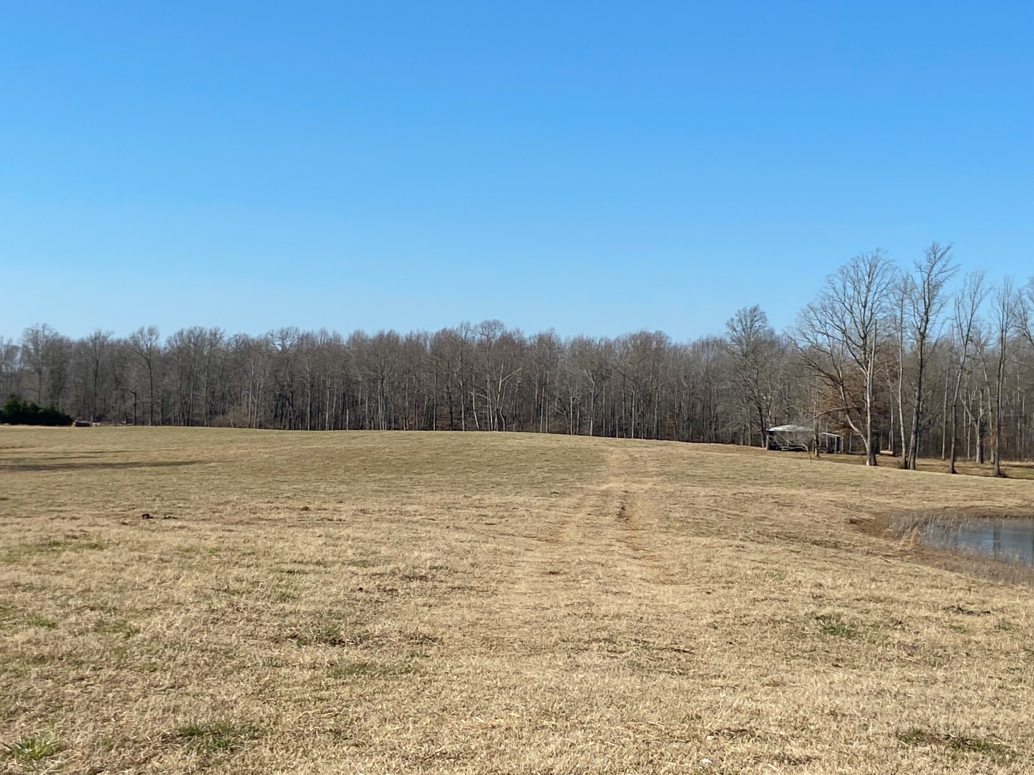 183 Roy E Bryan Road Hillsboro, TN 37342 - Photo 22 of 27 Gallery Image 22