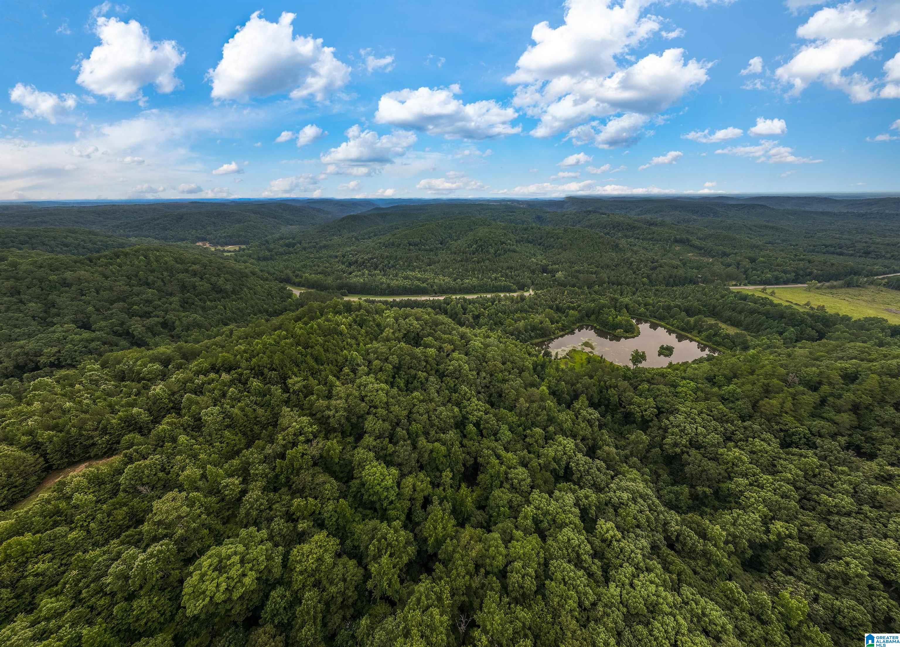 81 Frozen Hollow Road, Unit 32 Carbon Hill, AL 35549 - Photo 2 of 42