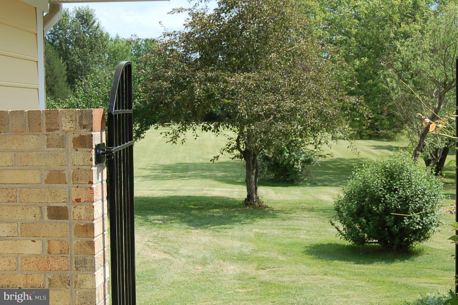 301 Storck Road Fredericksburg, VA 22406 - Photo 11 of 26 View to Front Yard