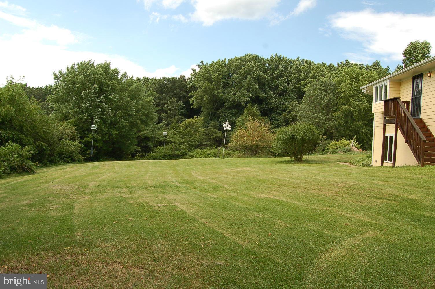 301 Storck Road Fredericksburg, VA 22406 - Photo 8 of 26 View Side Yard