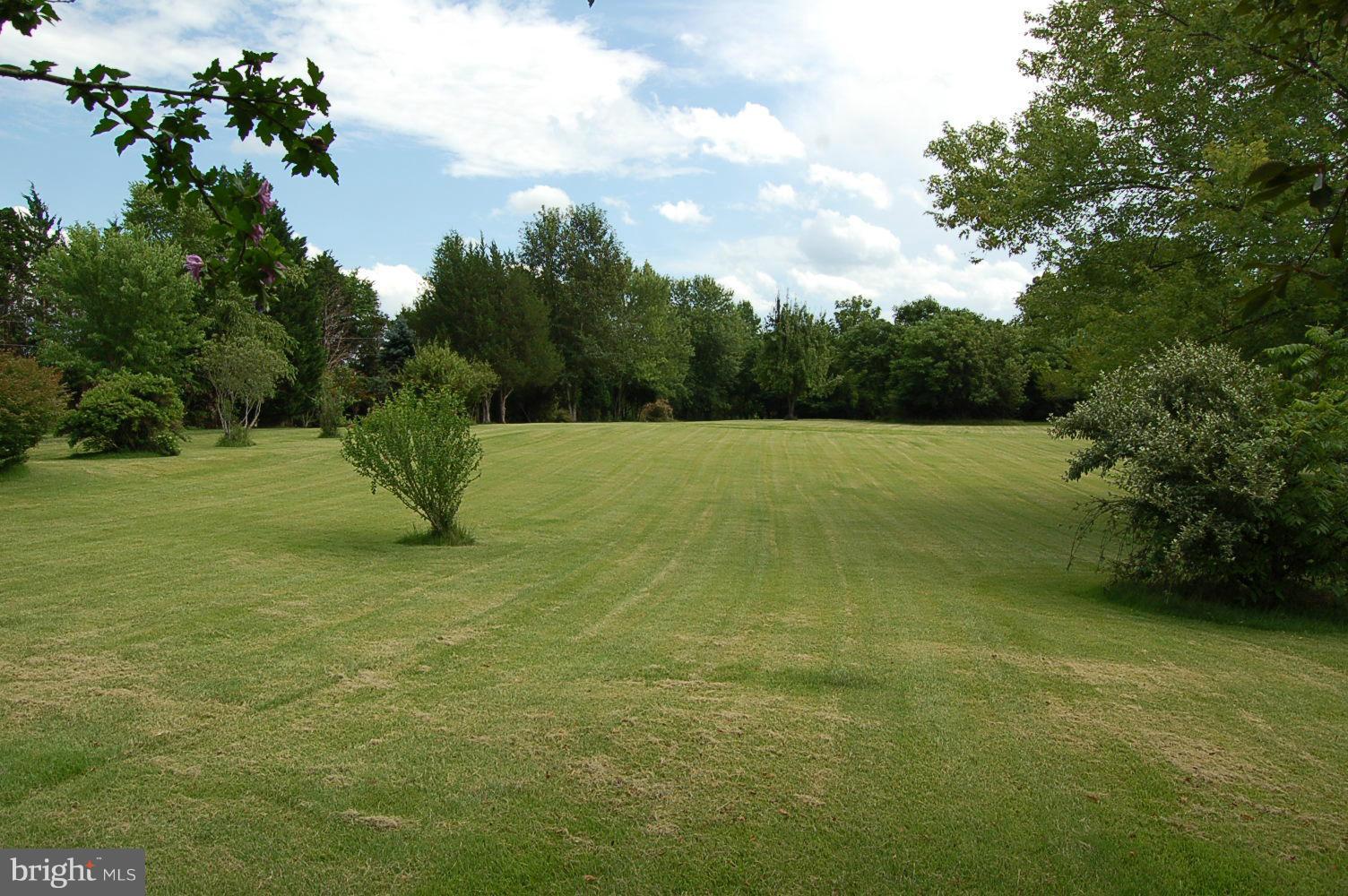 301 Storck Road Fredericksburg, VA 22406 - Photo 9 of 26 View Front Yard