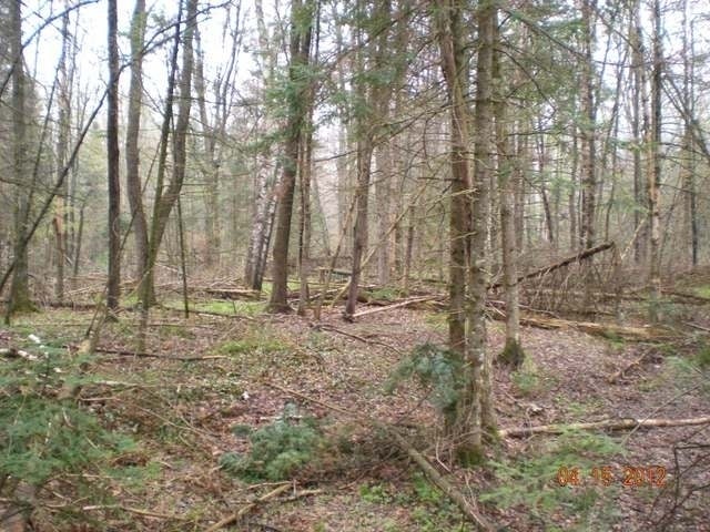On Popple Road Antigo, WI 54409 - Photo 6 of 18 Gallery Image 6