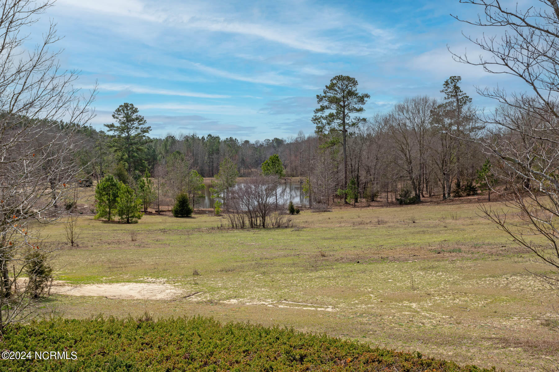 276 Derby Road Jackson Springs, NC 27281 - Photo 25 of 35 backyard2