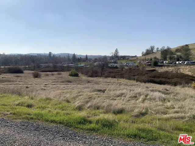 a view of a dry yard with trees