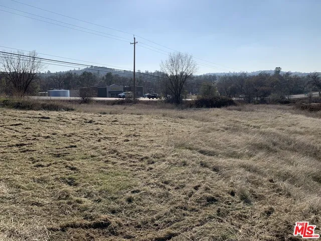 a view of a dry yard with trees