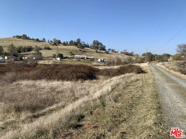 a view of a dry yard with trees