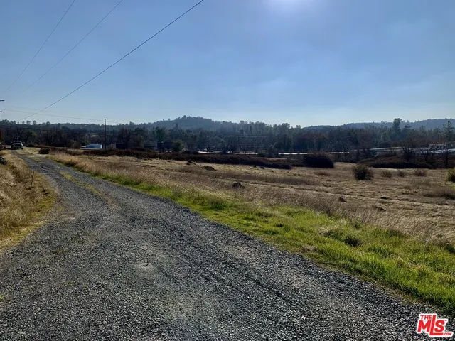 a view of a dry yard with trees