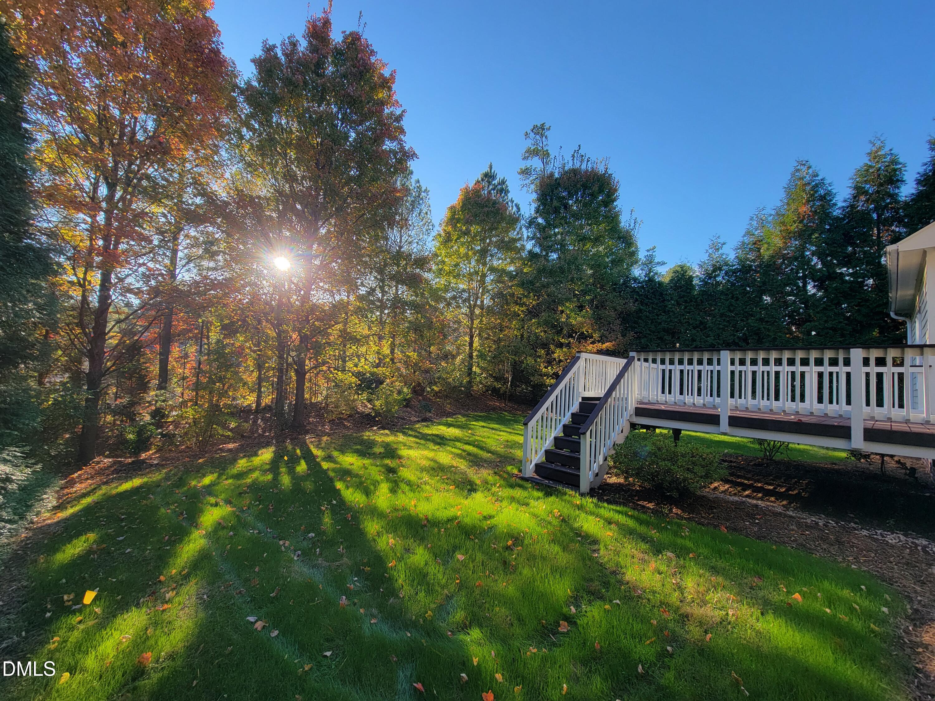 9441 Collingdale Way Raleigh, NC 27617 - Photo 36 of 54 a view of a garden with a slide
