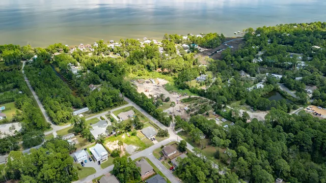 a picture of flowers