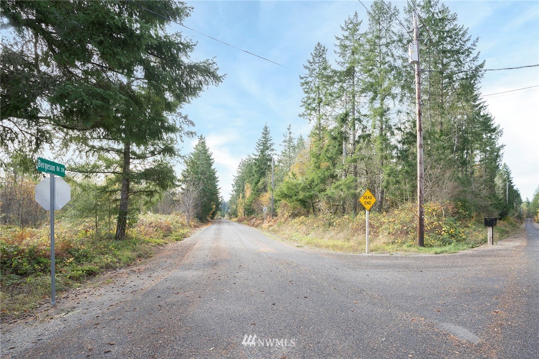 220 Bergeson Road Southwest Lakebay, WA 98349 - Photo 2 of 15 a view of a road with large trees