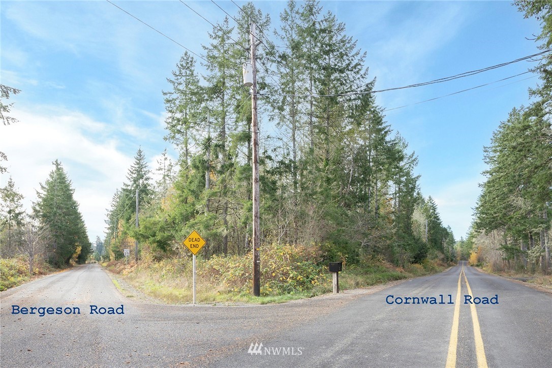 220 Bergeson Road Southwest Lakebay, WA 98349 - Photo 3 of 15 a view of a road from a yard