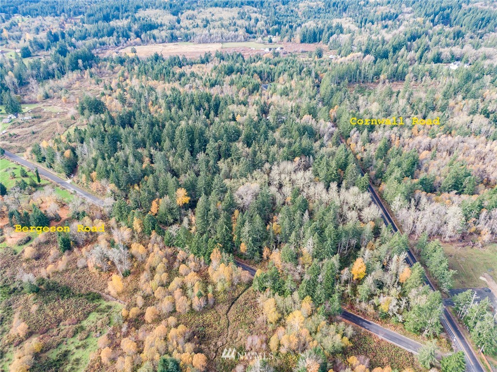 220 Bergeson Road Southwest Lakebay, WA 98349 - Photo 8 of 15
