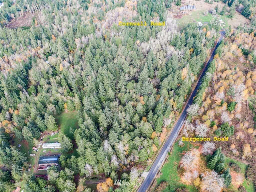 220 Bergeson Road Southwest Lakebay, WA 98349 - Photo 10 of 15 a view of a tree with a plant