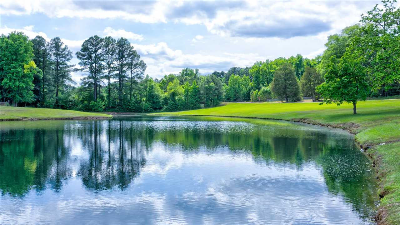 3710 Gorman Church Road Durham, NC 27704 - Photo 23 of 30 Pond
