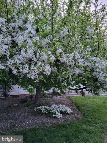 $479,900 | 255 Elizabeth Street, Landisville, PA 17538