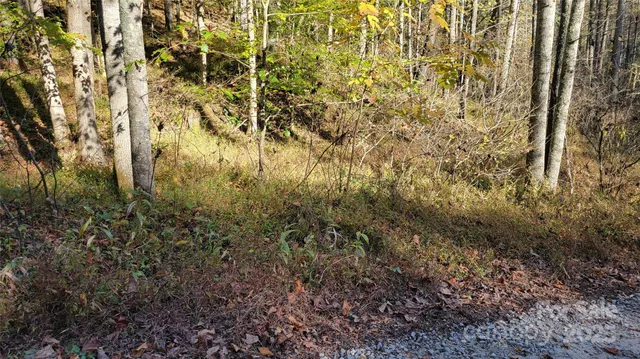a view of residential area with green space