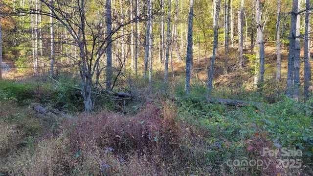 a view of a garden with plants and wooden fence