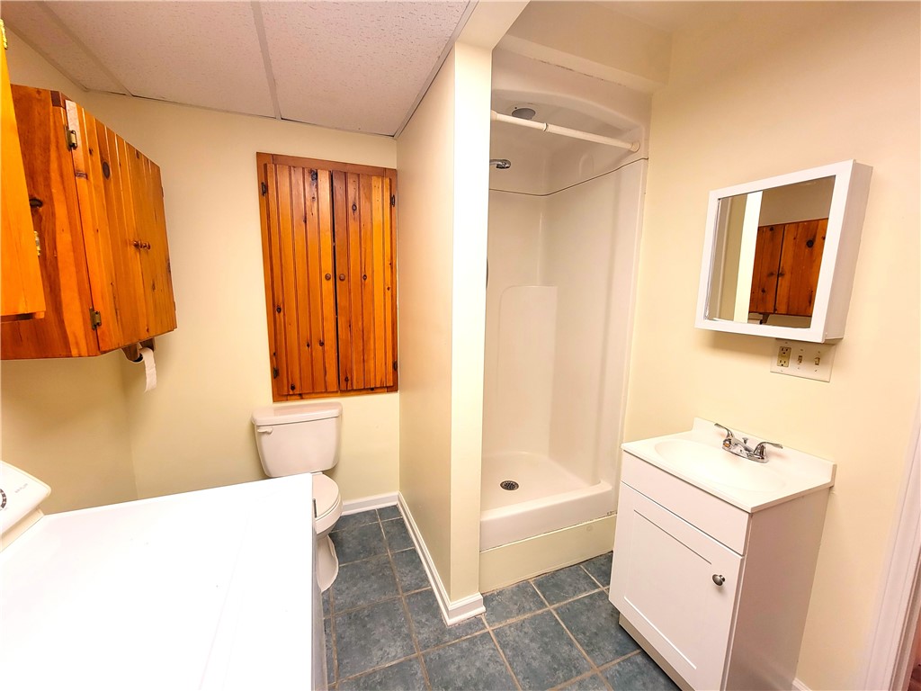 3945 Lake Avenue Hector, NY 14818 - Photo 23 of 27 Additional View Of Lower Level Full Bath