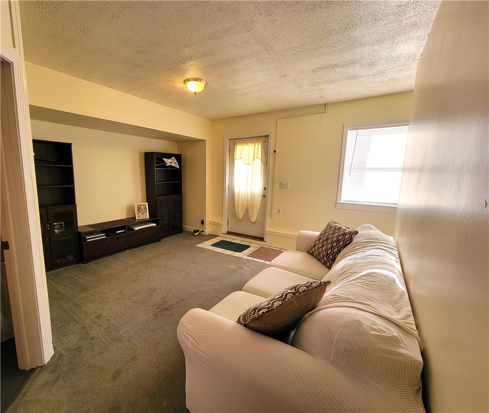 3945 Lake Avenue Hector, NY 14818 - Photo 25 of 27 Lower Level Living Room