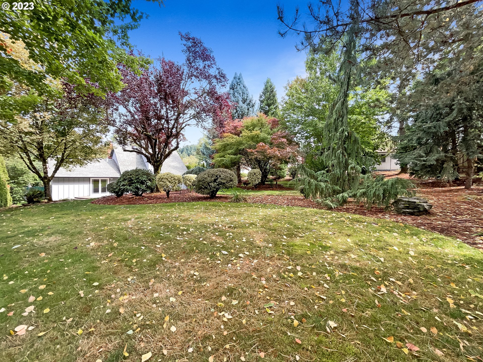 2120 Southwest 30th Drive Gresham, OR 97080 - Photo 15 of 17 a view of yard with tree in the background