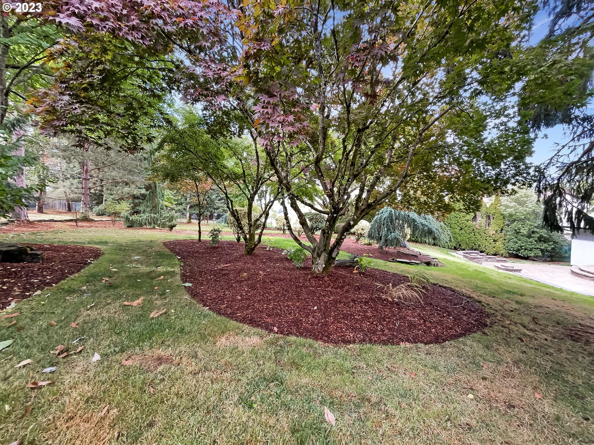 2120 Southwest 30th Drive Gresham, OR 97080 - Photo 16 of 17 a view of a backyard with large trees