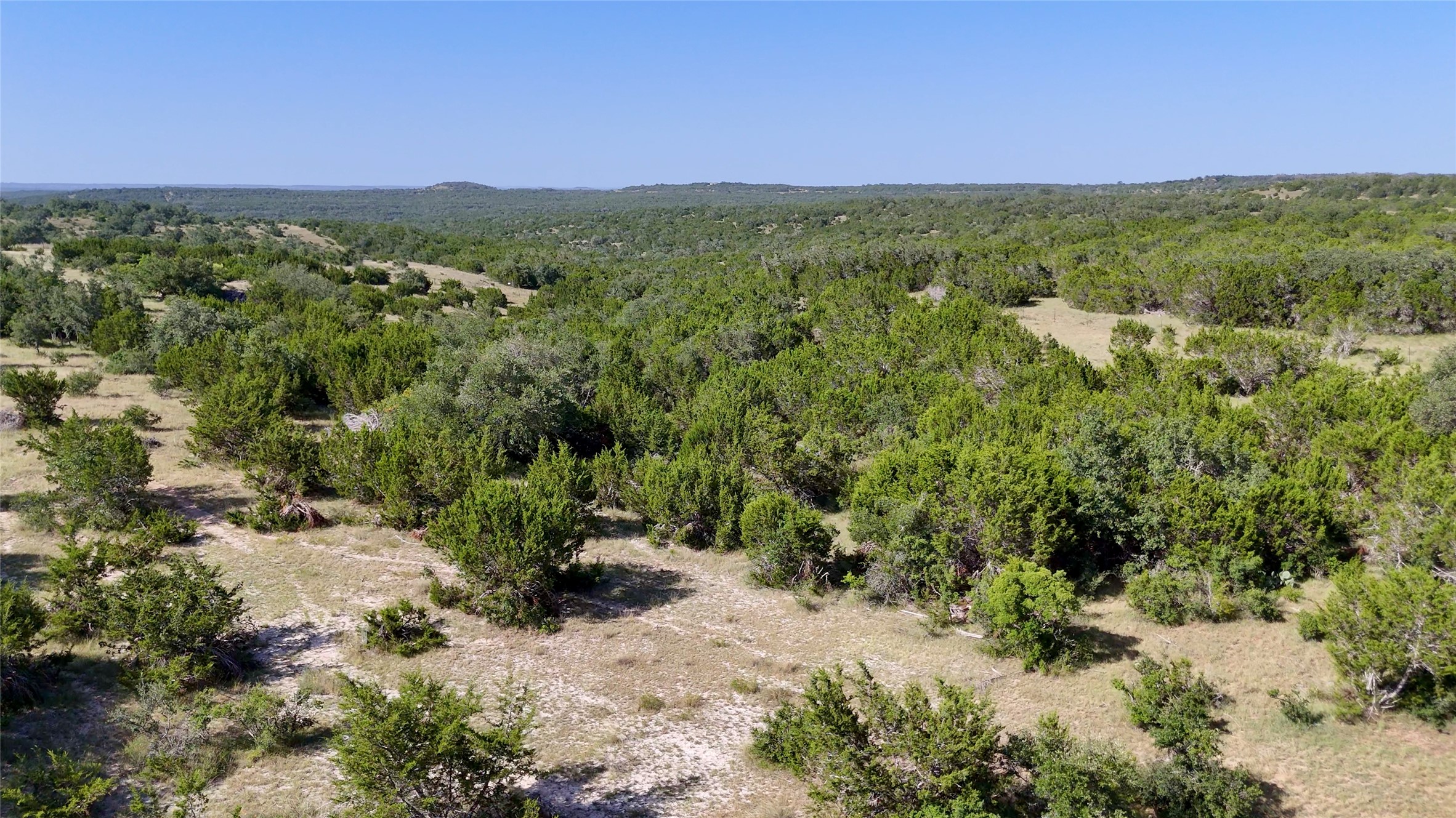 8364 West Fitzhugh Road Dripping Springs, TX 78620 - Photo 11 of 14 a view of a city with lush green forest