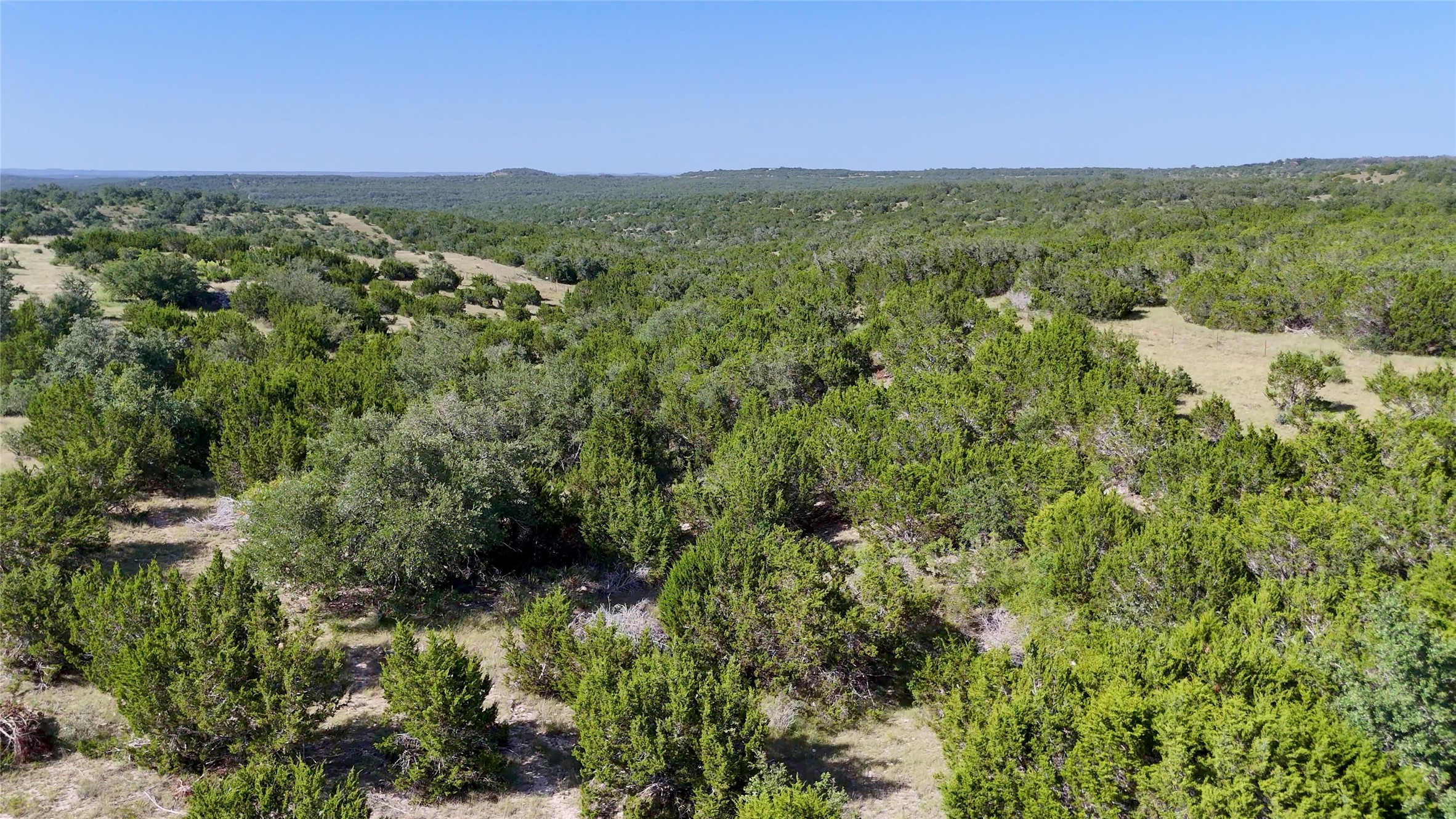 8364 West Fitzhugh Road Dripping Springs, TX 78620 - Photo 12 of 14 a view of a green field with lots of bushes