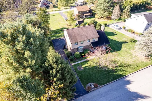 a view of a yard with potted plants