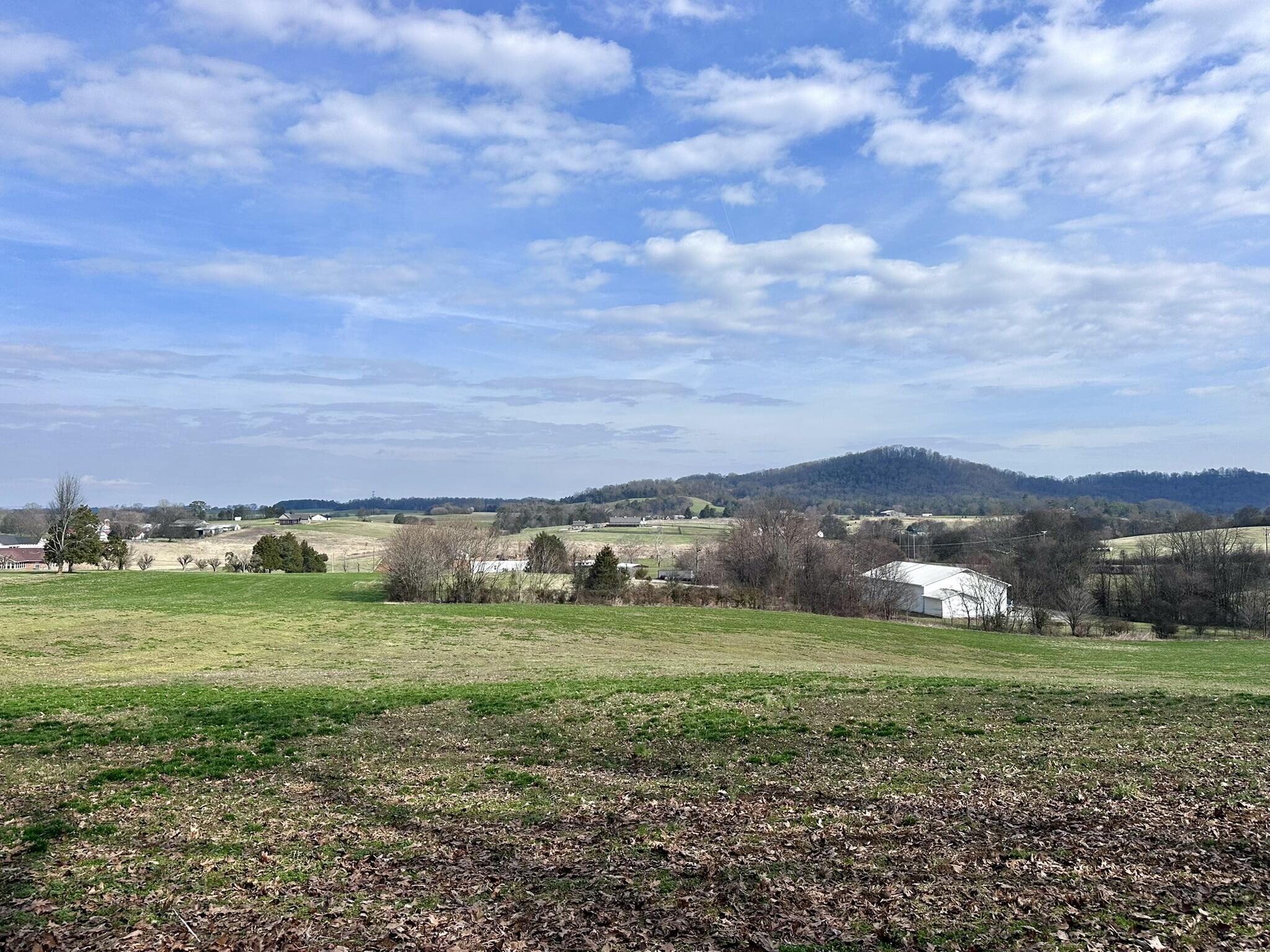 Lot 0 Seahorn Road Jefferson City, TN 37760 - Photo 11 of 27 IMG_1974