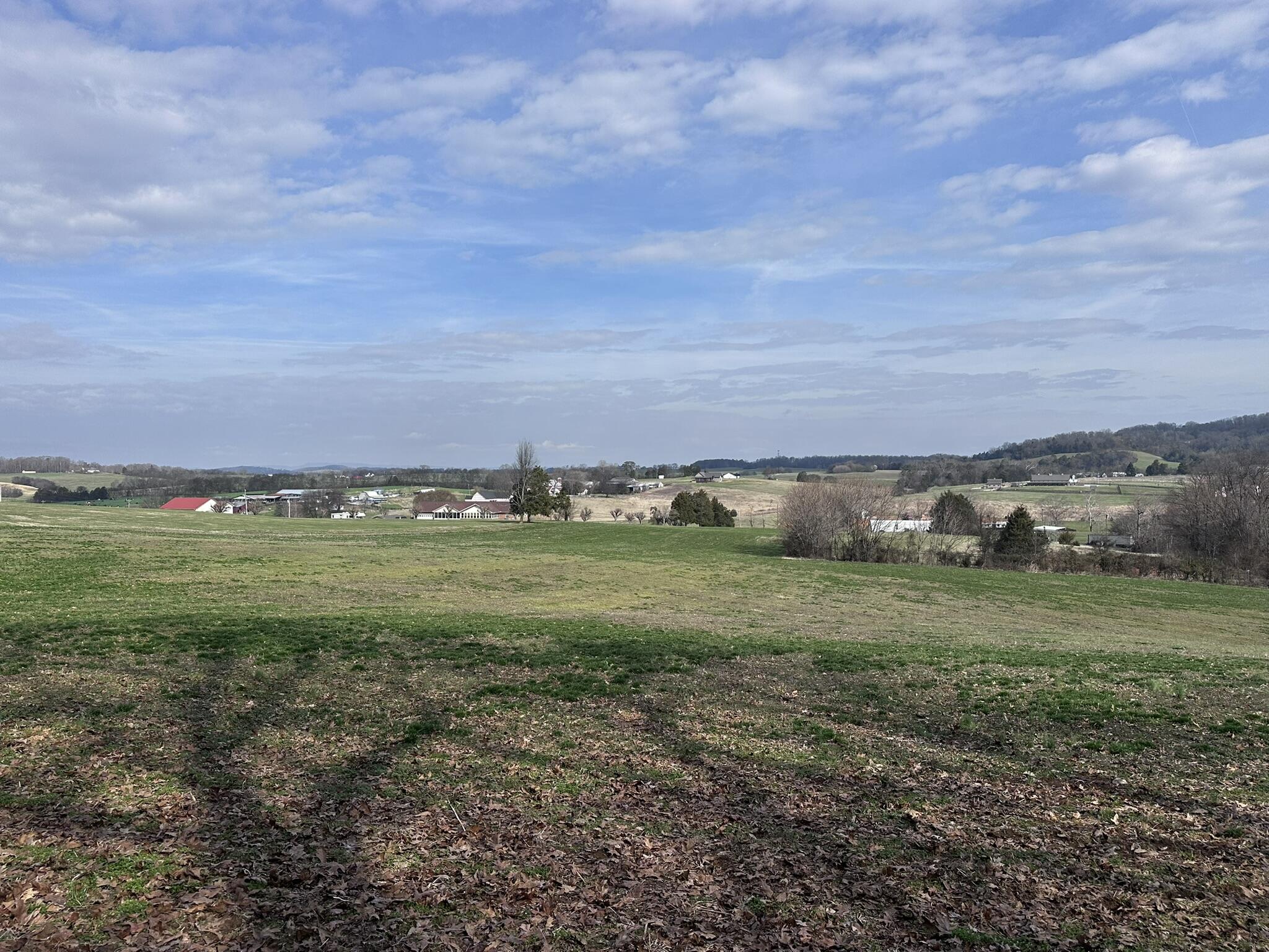 Lot 0 Seahorn Road Jefferson City, TN 37760 - Photo 13 of 27 IMG_1976